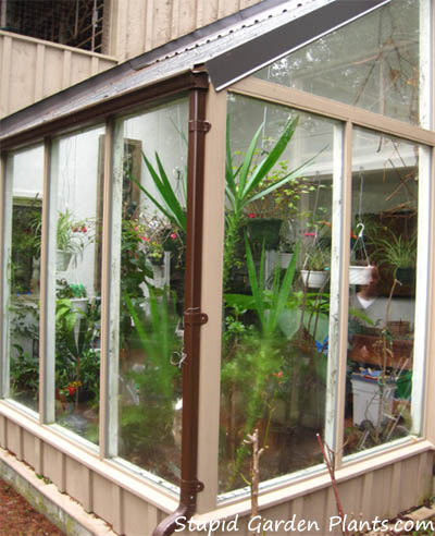 Saltspring Island Greenhouse thriving in the winter